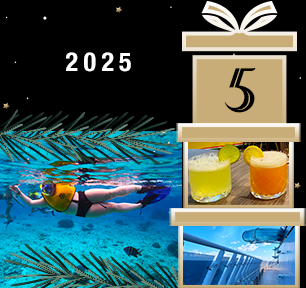 Book a 2025 cruise